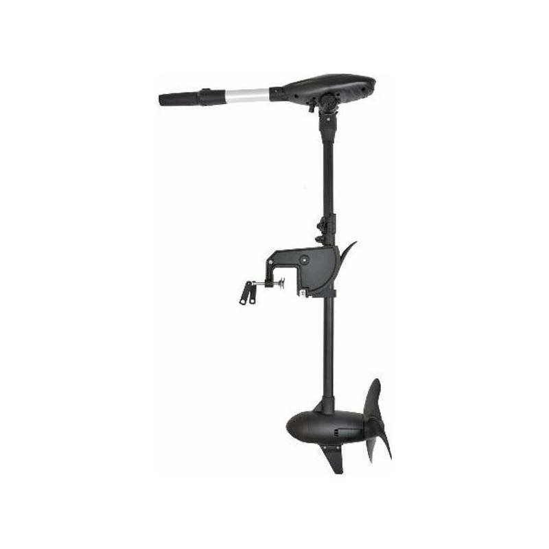 MOTEUR HASWING PROTRUAR-G 3.0 110 LBS – Image 2