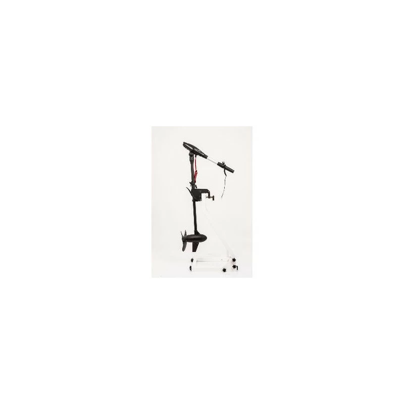 MOTEUR HASWING PROTRUAR-G 3.0 110 LBS – Image 6